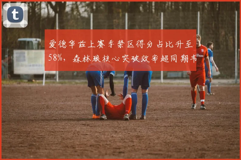 爱德华兹上赛季禁区得分占比升至58%，森林狼核心突破效率超同期韦德__br_